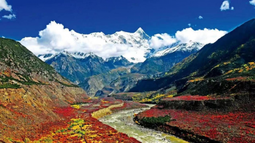 2023年国道G219西藏段暨茶马古道昌都段旅游推介会在成都成功举行